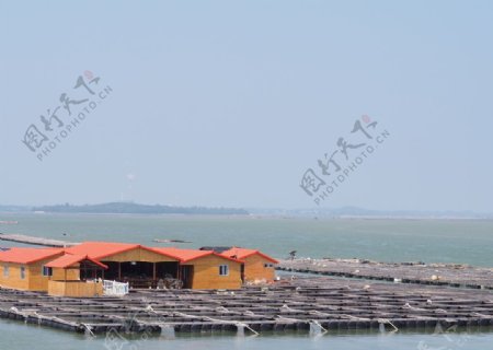 钦州港蚝排图片