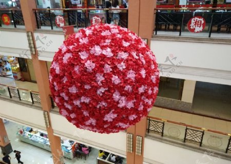 红花球图片