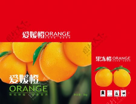 果冻橙橙子手提盒橙子包装图片