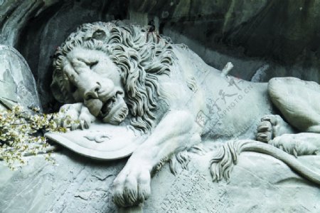 狮子浮雕石头艺术浮雕立体装饰画图片