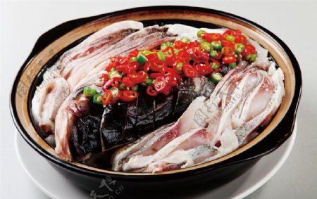 砂锅生焗鱼头图片