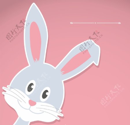 灰色兔子贴纸贺卡图片