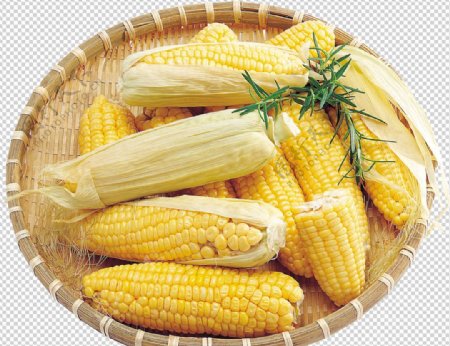 玉米蔬图片