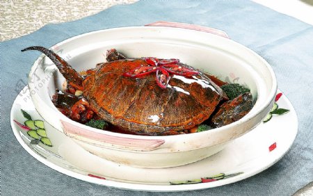 家常菜红煨鳄鱼龟图片