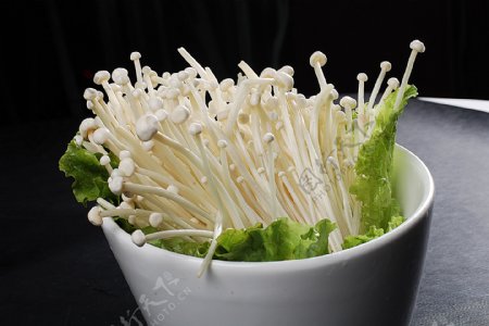 豫菜金针菇图片