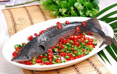 湘菜鲜椒鲟龙鱼图片