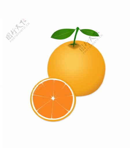 橙子矢量图图片