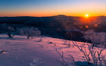 雪龙山之晨图片