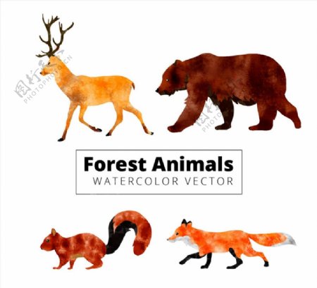 水彩绘森林动物图片