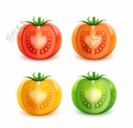 不同颜色的西红柿图片