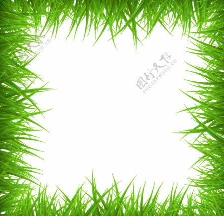 绿草空白框架背景图片
