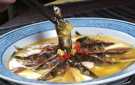川菜河茴香三角蜂图片