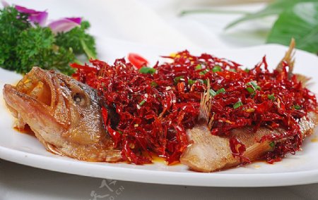 鄂菜秦椒炝鱼图片