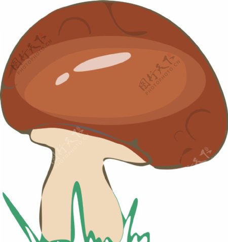 可爱的小蘑菇插画图片