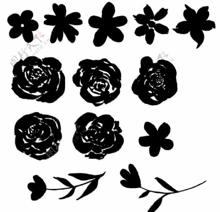 黑白花卉图片
