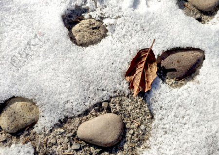 雪地石头图片