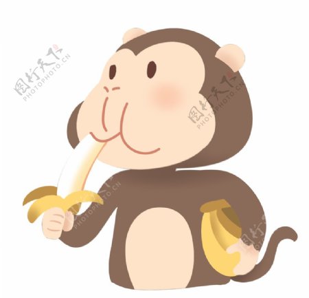 吃香蕉的猴子插画图片