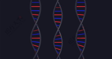 C4D模型动画DNA模型图片