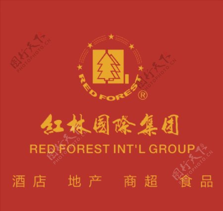 红林国际集团图片
