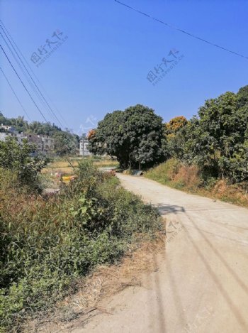 农村道路泥路图片