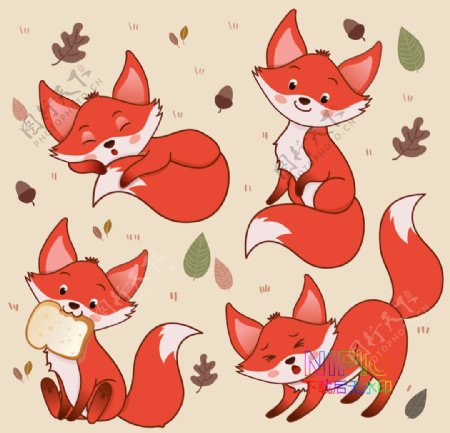 小狐狸狐狸背景火狐狸图片卡通